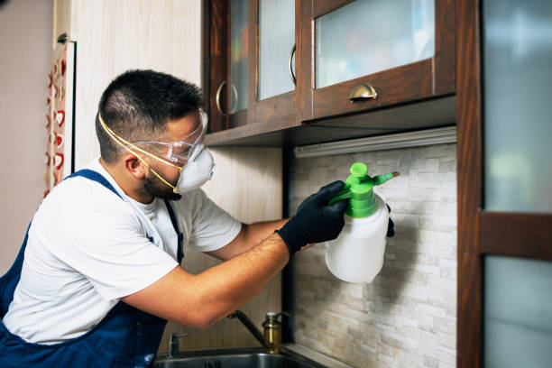 Best Affordable Pest Control Services  in Clark, SD