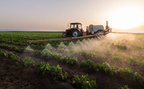 Best Pest Prevention Services  in Clark, SD