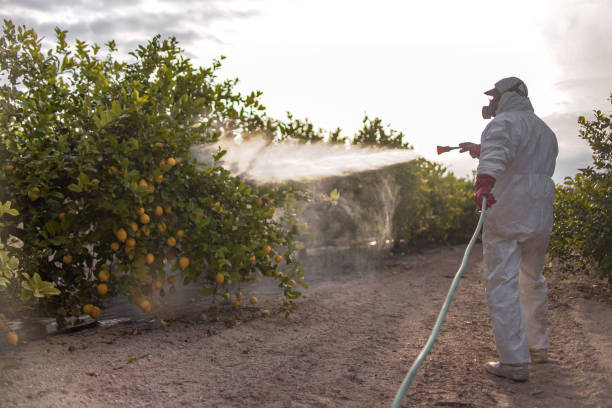 Best Pest Inspection Near Me  in Clark, SD