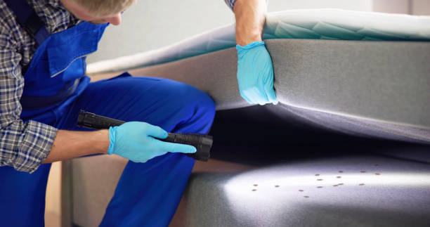 Pest Prevention Services in Clark, SD