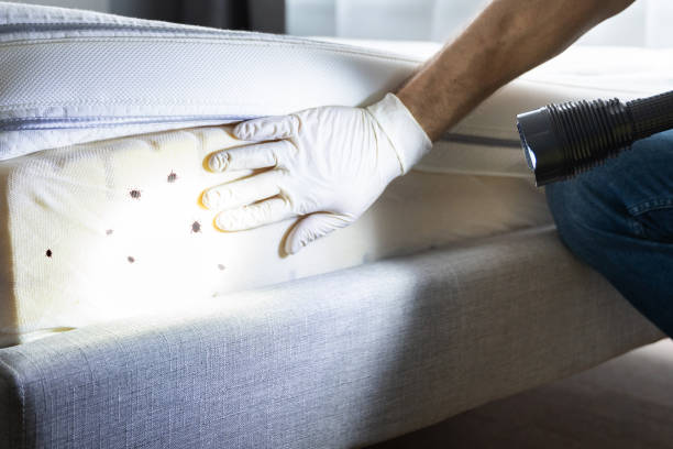Best Pest Removal Services  in Clark, SD
