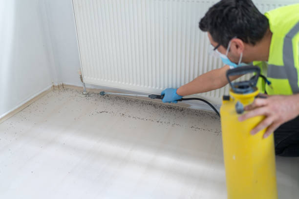 Best Exterminator Services  in Clark, SD
