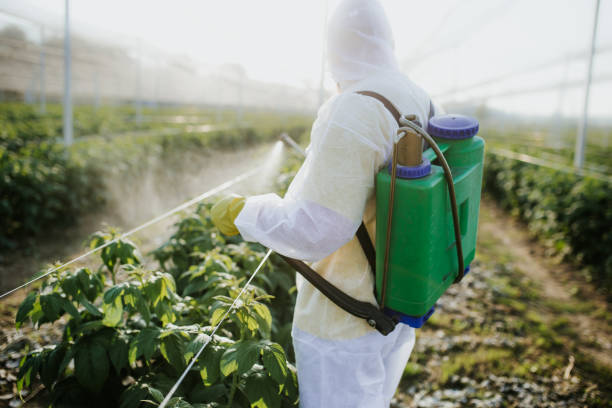 Pest Control Cost in Clark, SD